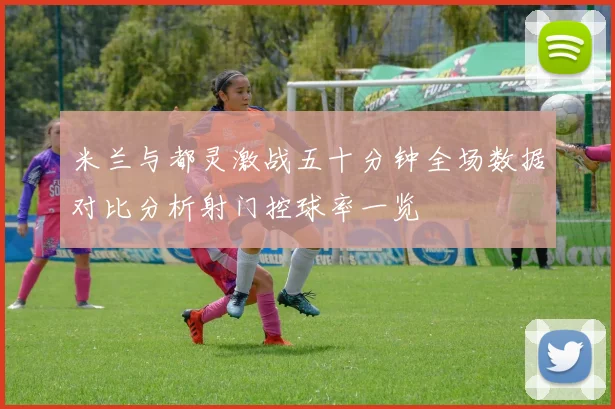米兰与都灵激战五十分钟全场数据对比分析射门控球率一览