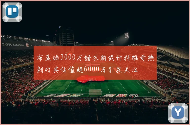 布莱顿3000万镑求购武什科维奇热刺对其估值超6000万引发关注