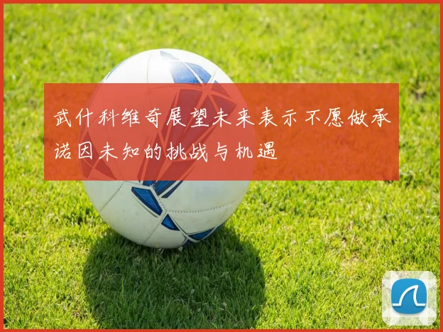 武什科维奇展望未来表示不愿做承诺因未知的挑战与机遇