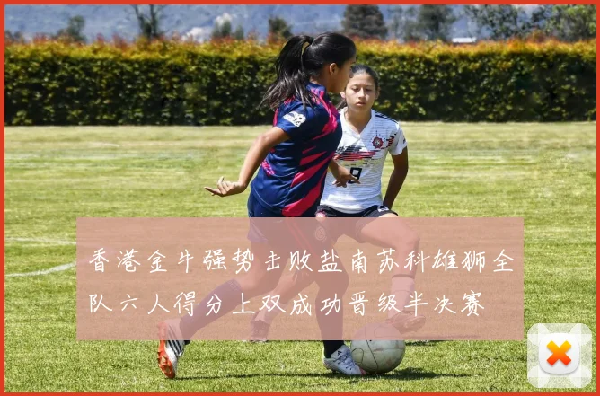 香港金牛强势击败盐南苏科雄狮全队六人得分上双成功晋级半决赛